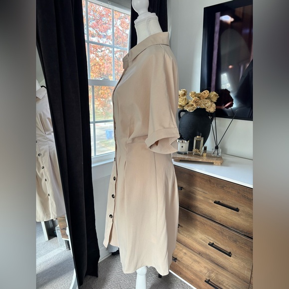 Beige Button-Up Midi Dress - Picture 2 of 4
